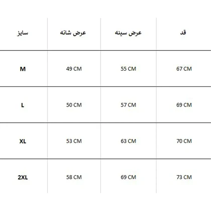 پیراهن زمستانه JACHS NY