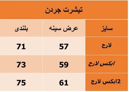 تیشرت مردانه جردن سفید پارچه دورس سری 2