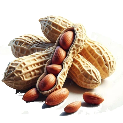 استیکر پارچه و لباس پاد آفرین مدل بادام زمینی کد 3473