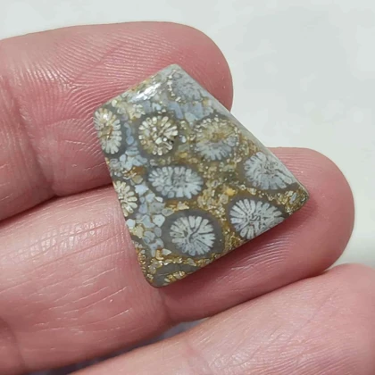 نگین مرجان فسیلی اصل کد9