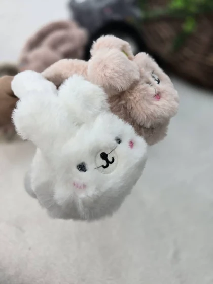 گوش گیر خرگوش