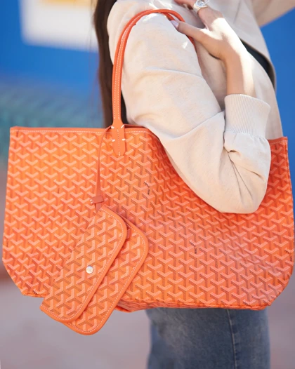 کیف گویارد (Goyard) بزرگ 50125