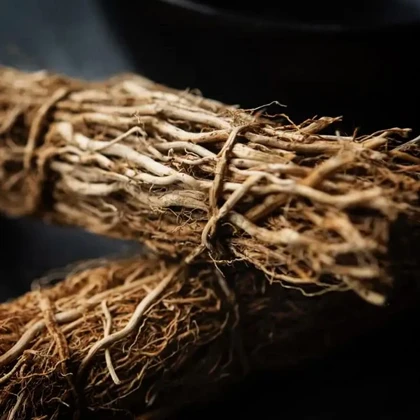 کرید اوریجینال وتیور Creed Original Vetiver