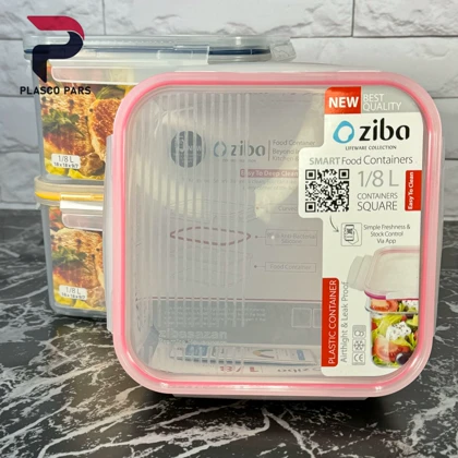 ظرف فریزری 1.8 مربع هانی لند زیبا