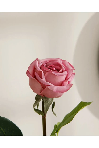 گل مصنوعی English Home مدل Corsage - صورتی تیره
