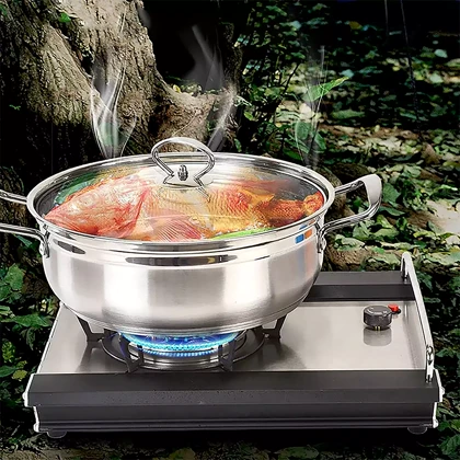 اجاق گاز پرتابل تک شعله SNOW HAWK SN.B21