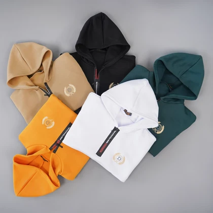 هودی مردانه طرح D خردلی مدل Parham