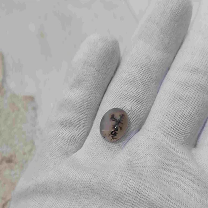 عقیق شجر قائن اصل کد 29