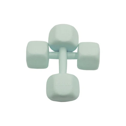 دمبل رادیس فیت مدل RPHF-4000P وزن 4 کیلوگرم بسته بندی دو عددی