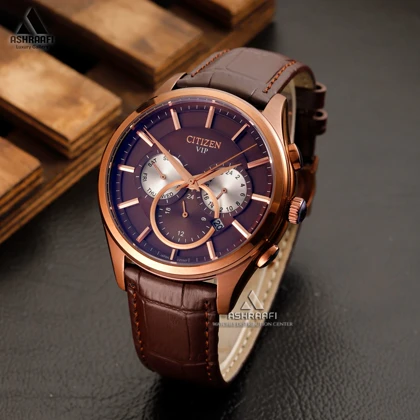 ساعت سیتیزن Citizen VIP CZ5567BR
