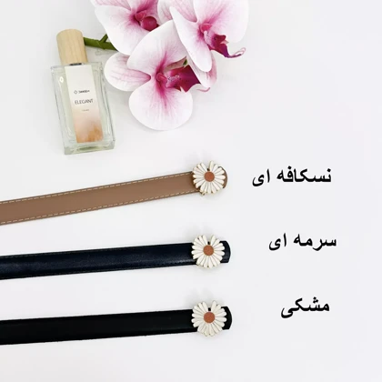 کمربند بابونه 1003355