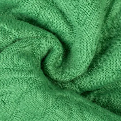 هودی برجسته