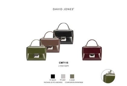 کیف دستی مدل David Jones CM7115
