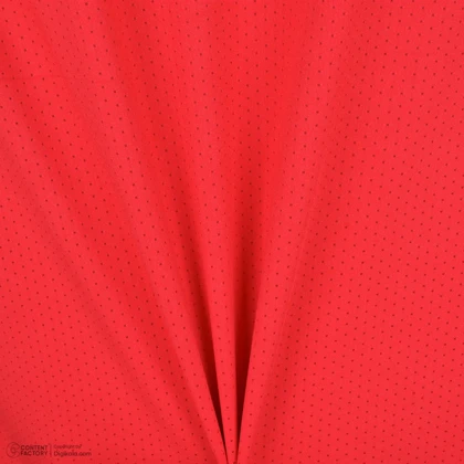 تیشرت ورزشی مردانه رادیس فیت مدل Dri-Fit