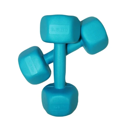 دمبل رادیس فیت مدل RPHF-2500 وزن 2.5 کیلوگرم بسته دو عددی