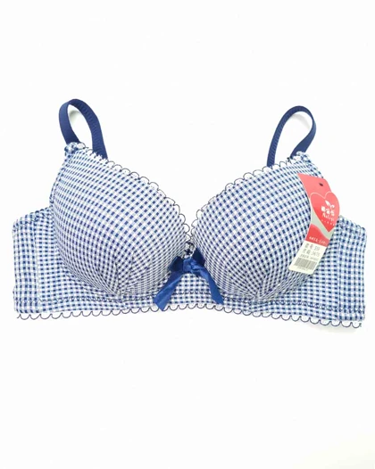 سوتین زنانه اسفنجی چهارخونه ریز سیلکا