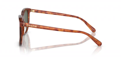 عینک آفتابی کوچ Coach HC8384U