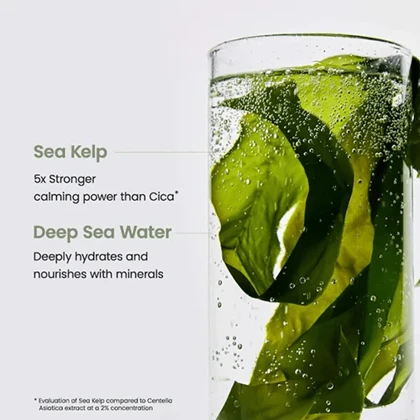 ماسک ورقه ای جلبک دریایی تسکین دهنده بایودنس بسته 1 عددی