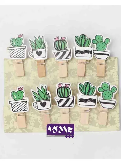 گیره چوبی کاکتوس