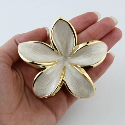 کلیپس دخترانه فانتزی پلومریا