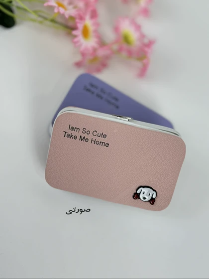 جاکارتی پاپی