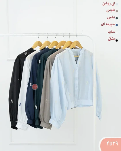 بامبر شیشه ای سنجاقک 4539