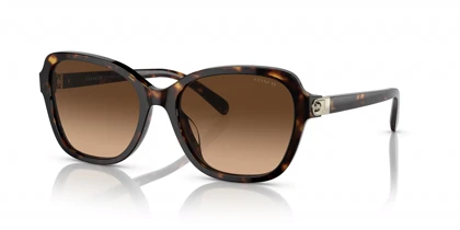 عینک آفتابی کوچ Coach HC8349U