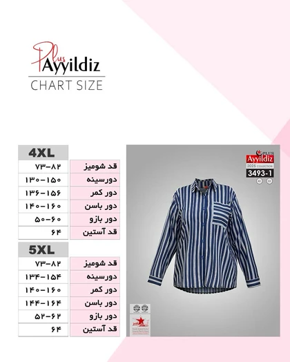 شومیز مجلسی زنانه زیبا سایز بزرگ کد 3493