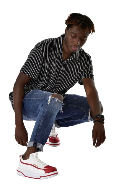 کتانی مردانه chekich