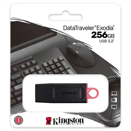 فلش مموری کینگستون Kingston مدل Exodia DTX/256GB ظرفیت 256 گیگابایت
