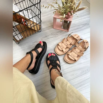 صندل خرچنگی _ 1509