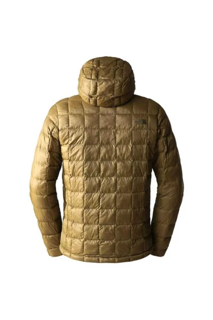 کت و کاپشن مردانه the-north-face