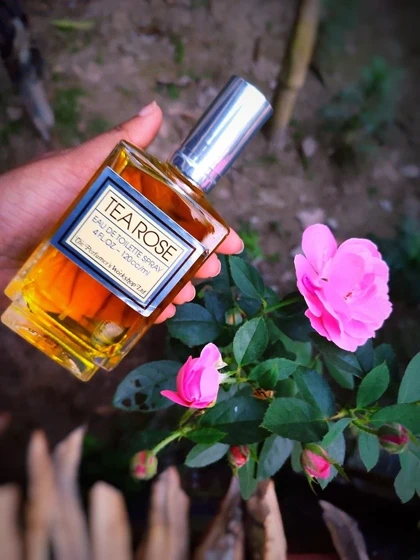 پرفیومرز ورکشاپ تی رزPERFUMER'S WORKSHOP - Tea Rose