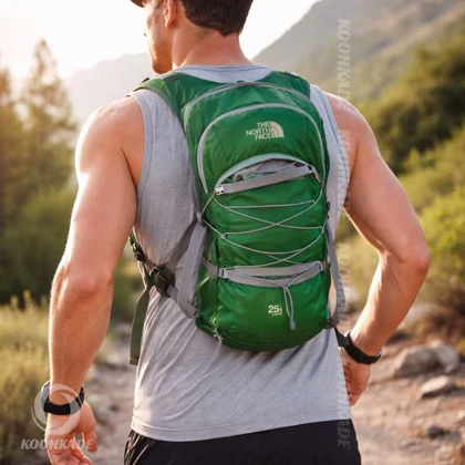 کوله 25 لیتر THE NORTH FACE