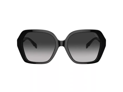 عینک آفتابی کوچ Coach HC8404U