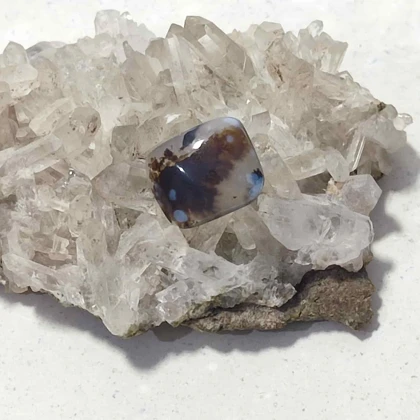 عقیق شجر قائن اصل کد 14