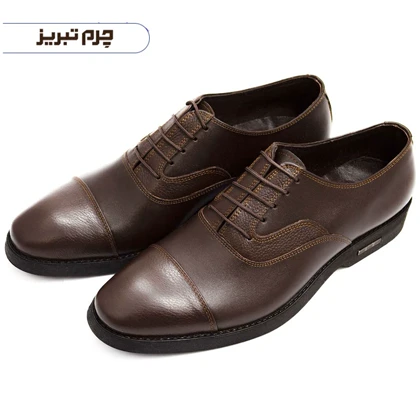 کفش مجلسی مردانه مدل BR529