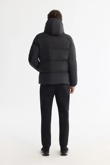 کت و کاپشن مردانه اوا avva