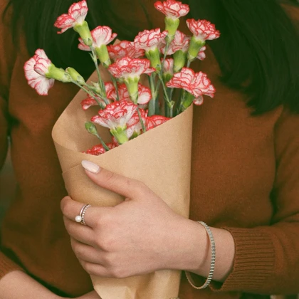 النگو میله‌ای