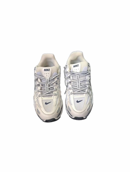 کفش NIKE p6000