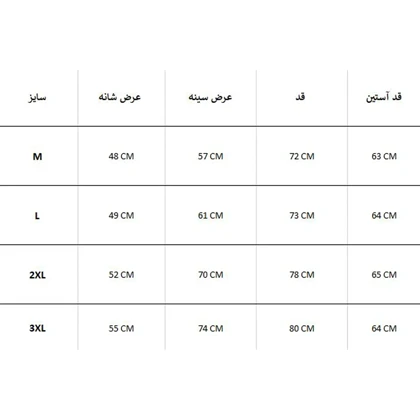 سویشرت مردانه RAINTEX