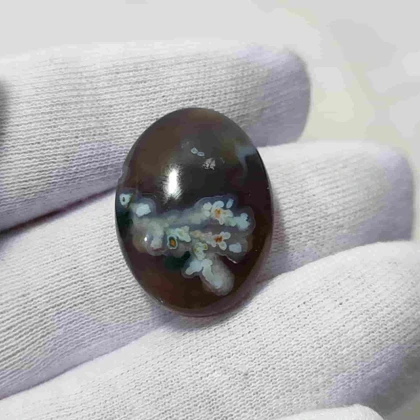 عقیق شجر بهاری با زمینه خرمایی