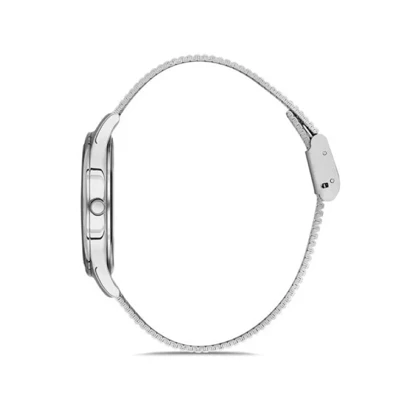 ساعت زنانه دنیل کلین DANIEL KLEIN DK.1.12701-1