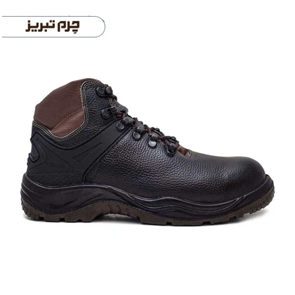 کفش ایمنی پاژند فیدار تبریز مدل نپال SB113