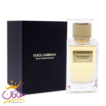 عطر ادکلن دولچه گابانا ولوت میموسا بلوم زنانه