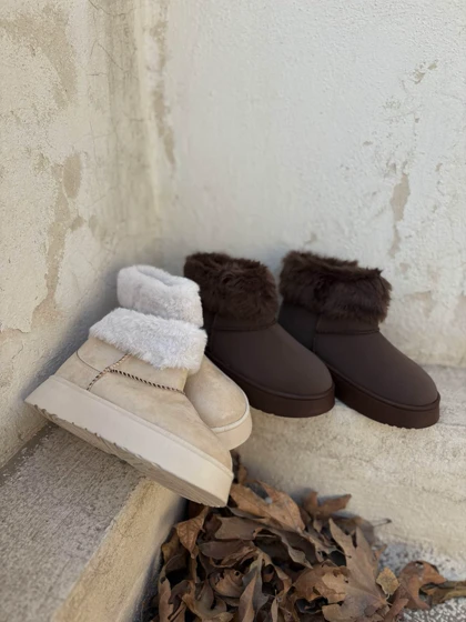 اگ کوتاه پشمی شایلین