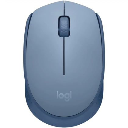موس بی سیم لاجیتک M171