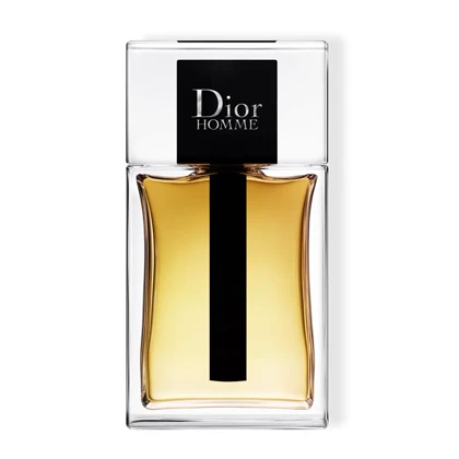 ادوتویلت مردانه دیور مدل Dior Homme 2020 حجم 100 میلی لیتر