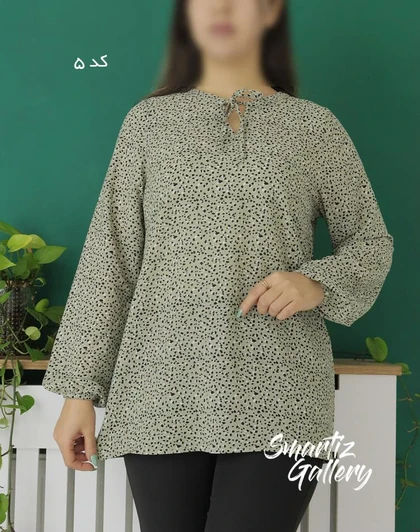 شومیز آیلین