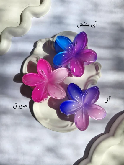 کلیپس پلومریای آبرنگی